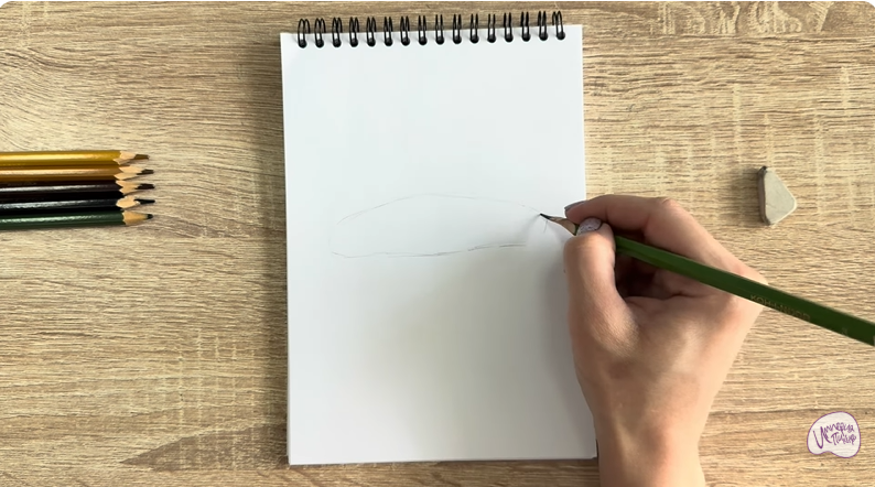 Рисуем Голотурия