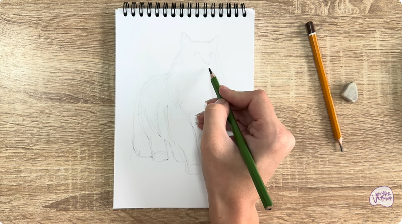 Рисуем Норвежский лесной кот