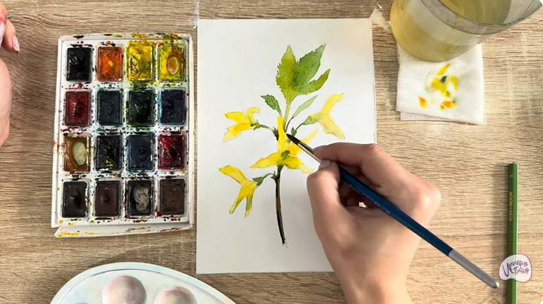 Рисуем Форзиция