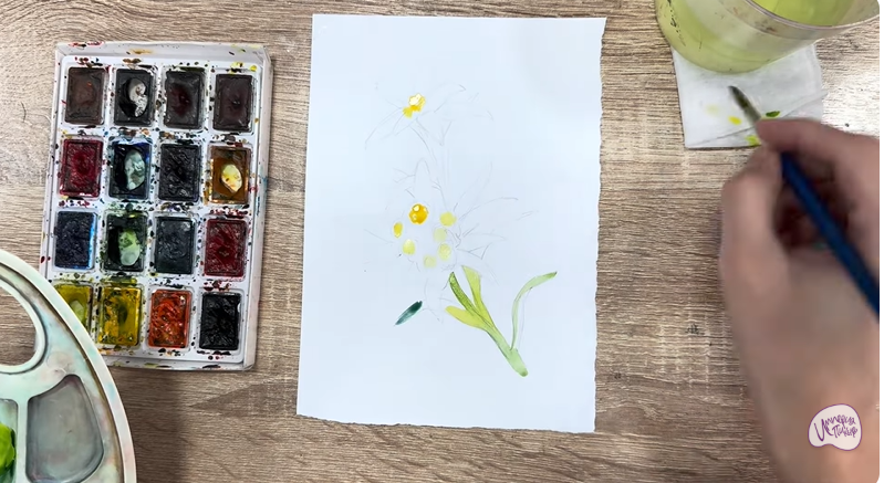 Рисуем Эдельвейс