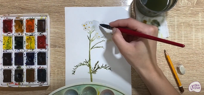 Рисуем Тысячелистник