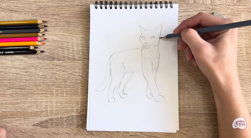 Рисуем Кошка Бурмилла