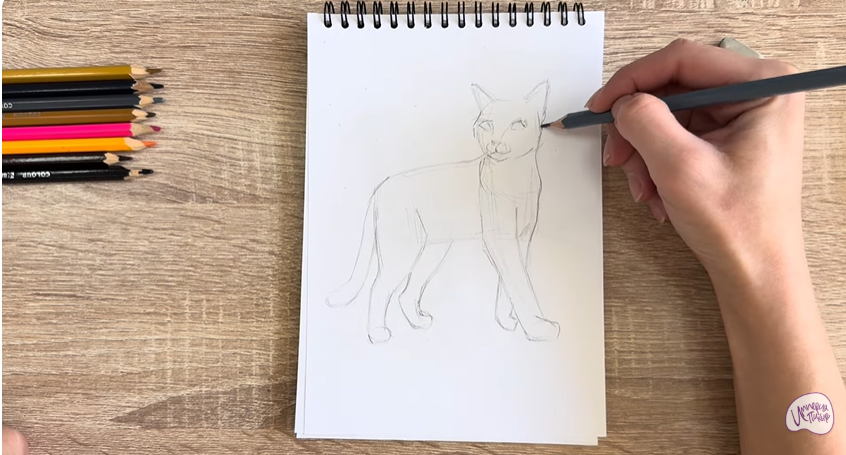 Рисуем Кошка Бурмилла