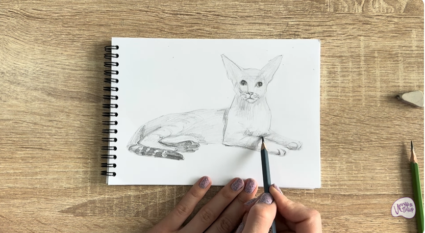 Рисуем Ориентальная кошка