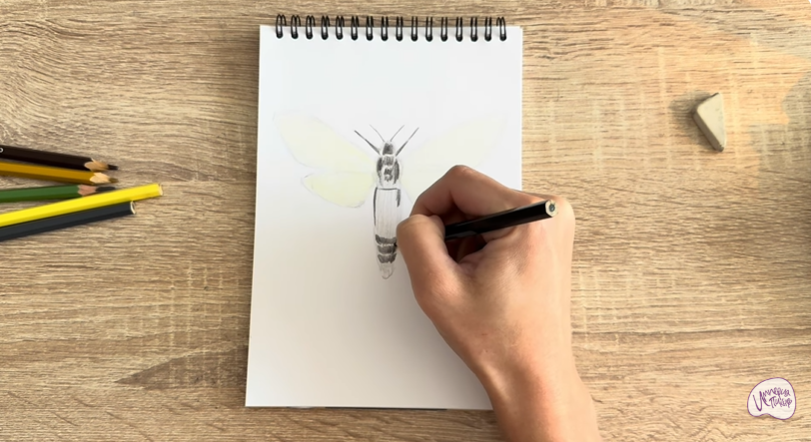 Рисуем Древесница въедливая