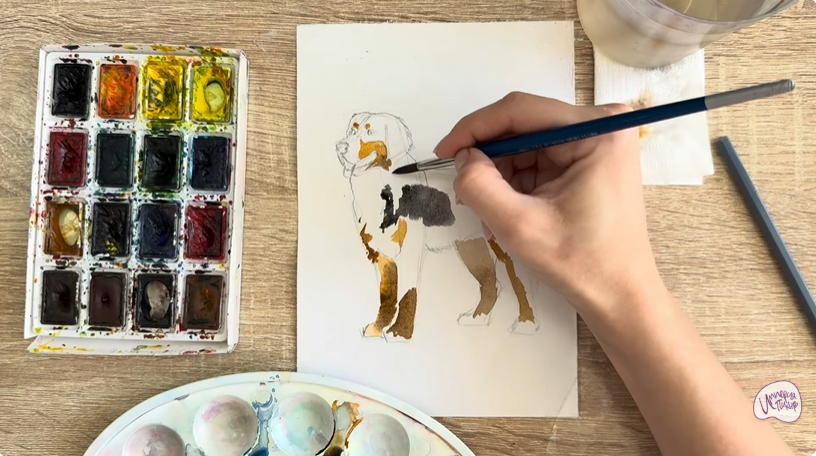 Рисуем Собака породы Бернский зенненхунд