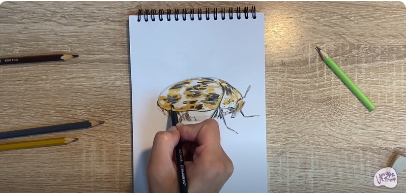 Рисуем Кожеед
