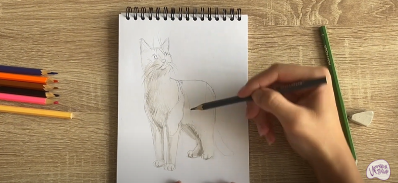 Рисуем Кот породы "японский бобтейл"
