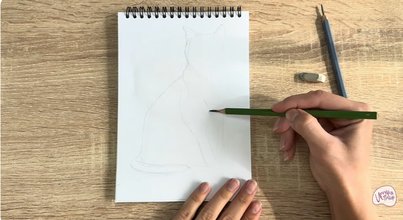 Рисуем Бурманский кот