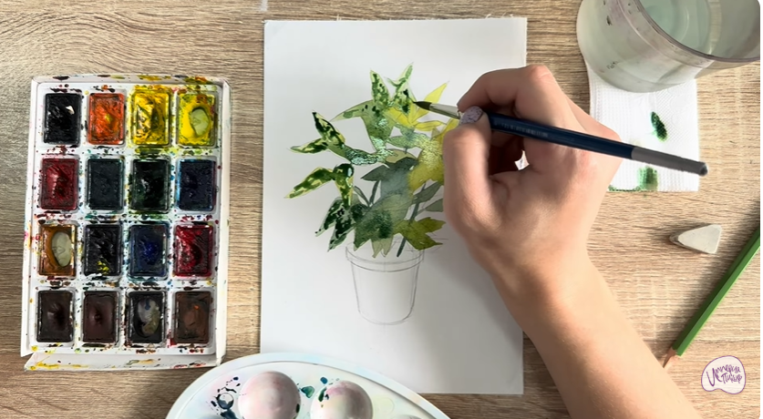 Рисуем Аукуба японская