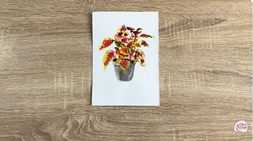 Рисуем Колеус в горшке