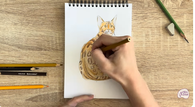 Рисуем Кошка Тойгер