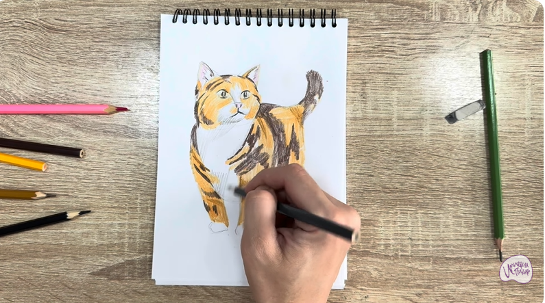 Рисуем Кошка породы "Манчкин"