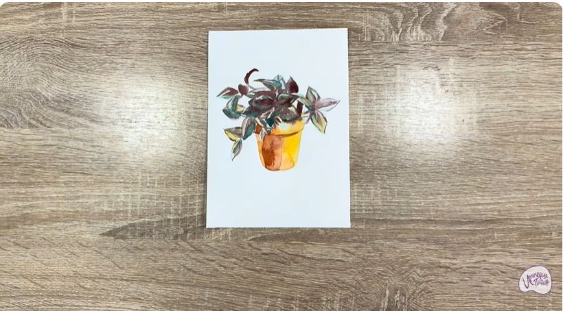 Рисуем Традесканция