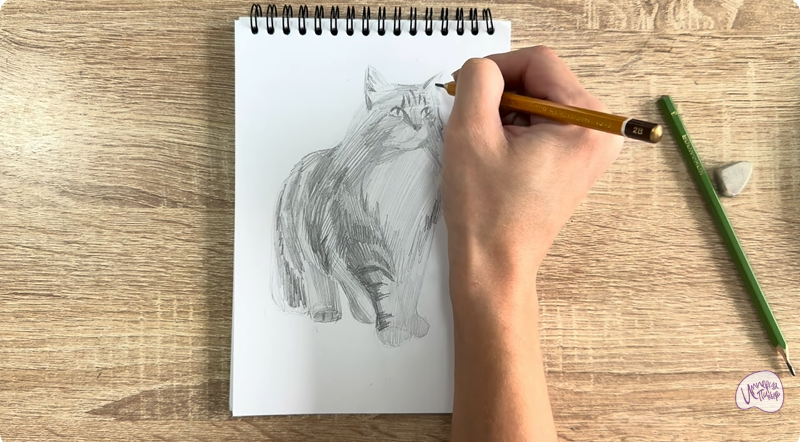 Рисуем Норвежский лесной кот