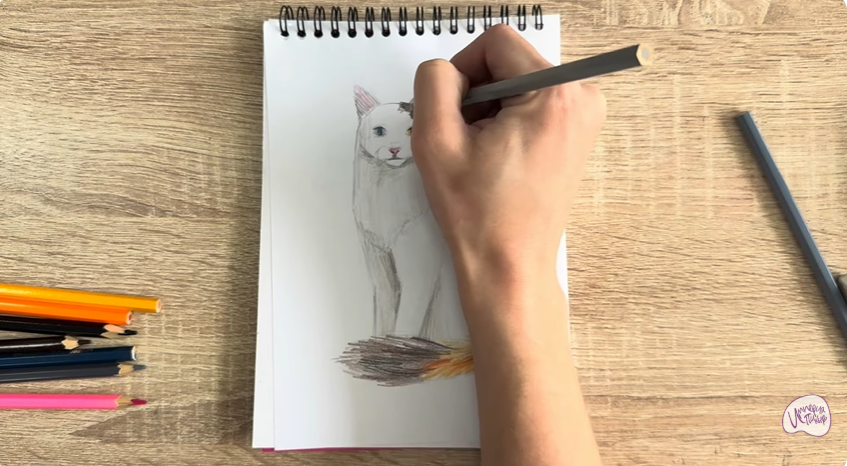 Рисуем Кот породы "Турецкий ван"