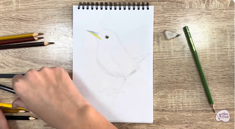 Рисуем Крапивник