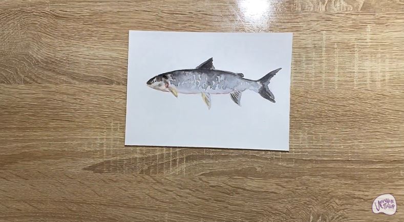 Рисуем Сиг