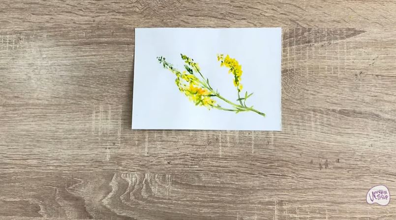 Рисуем Донник Рисуем Донник