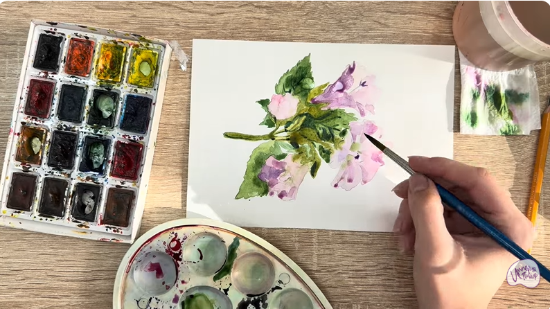 Рисуем Алтей лекарственный