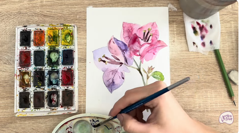 Рисуем Бугенвиллея