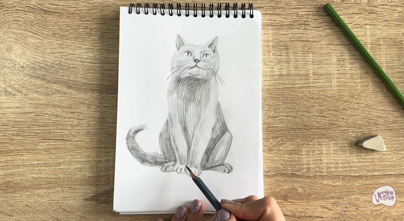 Рисуем Кот породы Шартрез