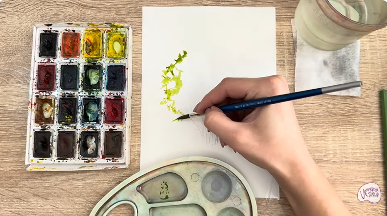 Рисуем Саженец бирючины