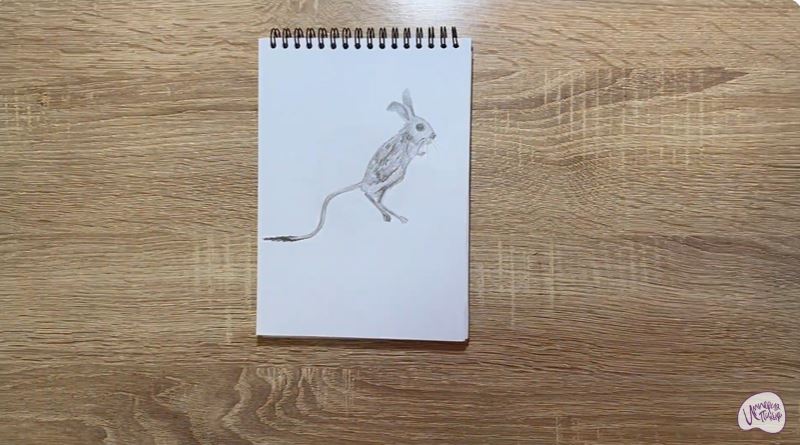 Рисуем Тушканчик