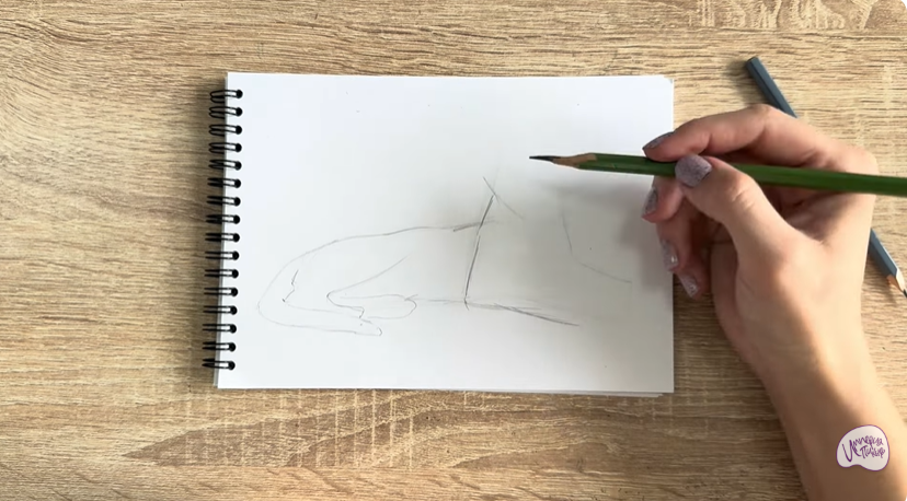 Рисуем Ориентальная кошка