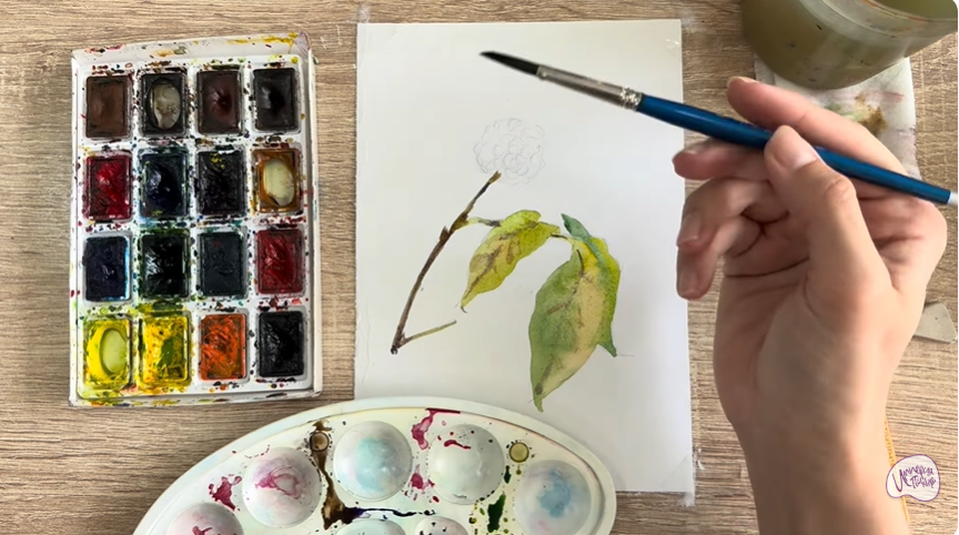 Рисуем Акантопанакс