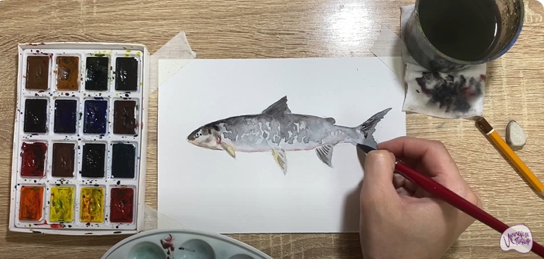 Рисуем Сиг