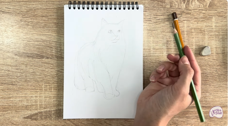 Рисуем Норвежский лесной кот