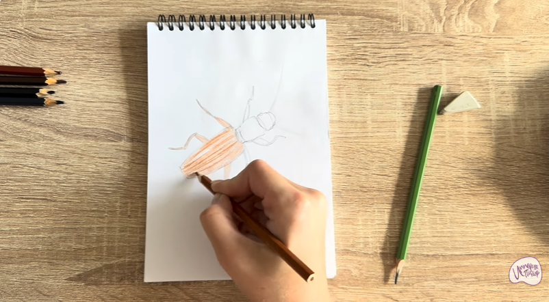 Рисуем Мукоед