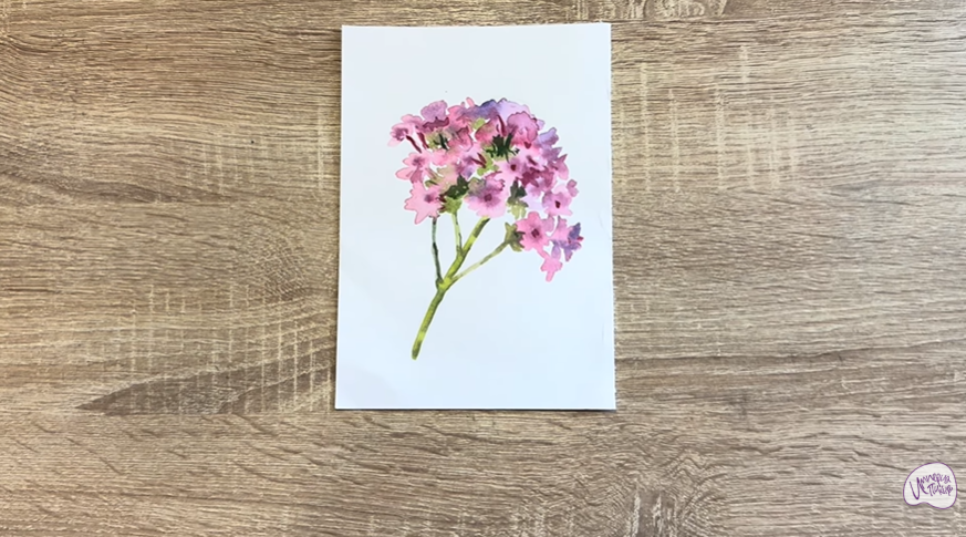 Рисуем Вербена