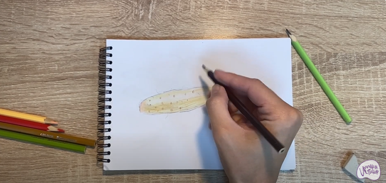 Рисуем Ямс