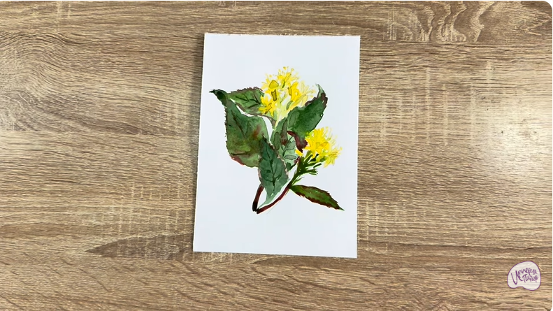 Рисуем Диервилла