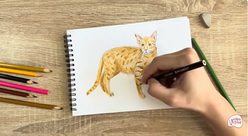 Рисуем Кот породы Оцикет