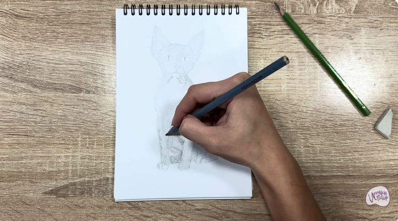 Рисуем Девон Рекс