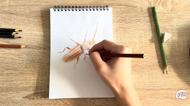 Рисуем Мукоед