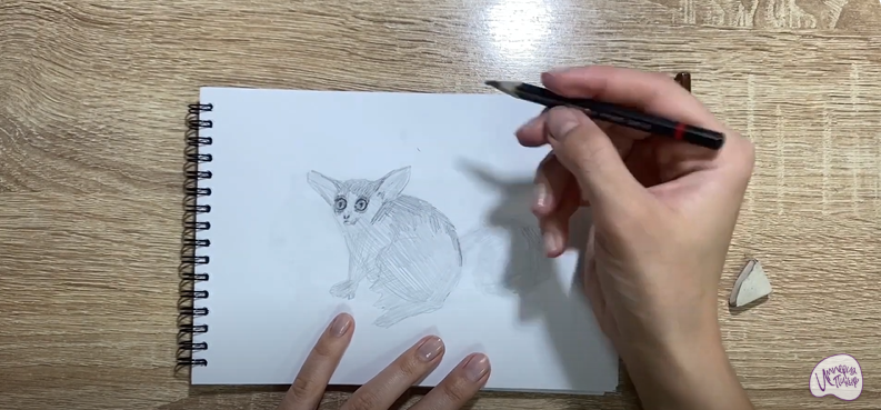 Рисуем Галаго