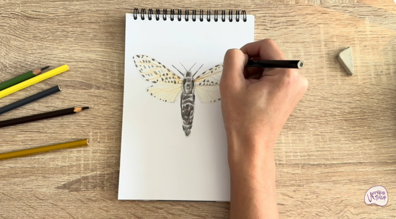 Рисуем Древесница въедливая