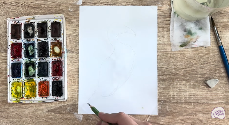 Рисуем Обыкновенная гага