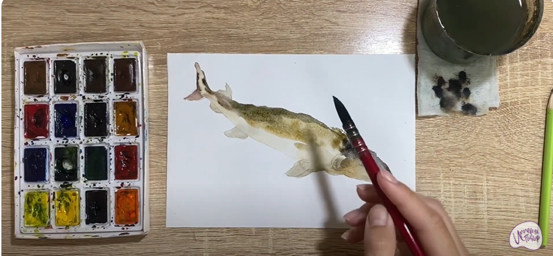 Рисуем Стерлядь