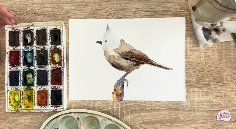 Рисуем Хохлатая синица