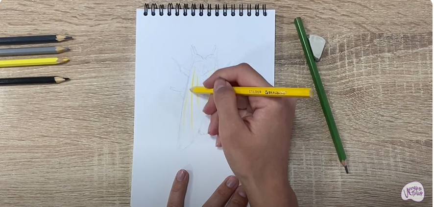 Рисуем Хохлатка