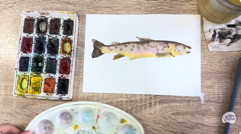 Рисуем Кумжа