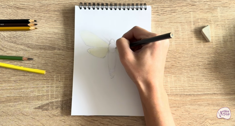 Рисуем Древесница въедливая