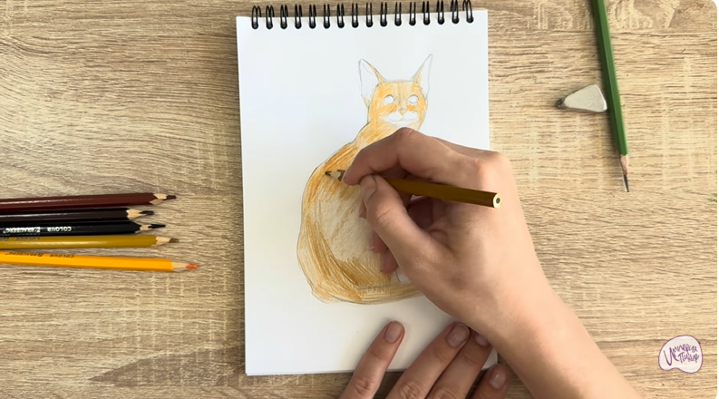 Рисуем Кошка Тойгер