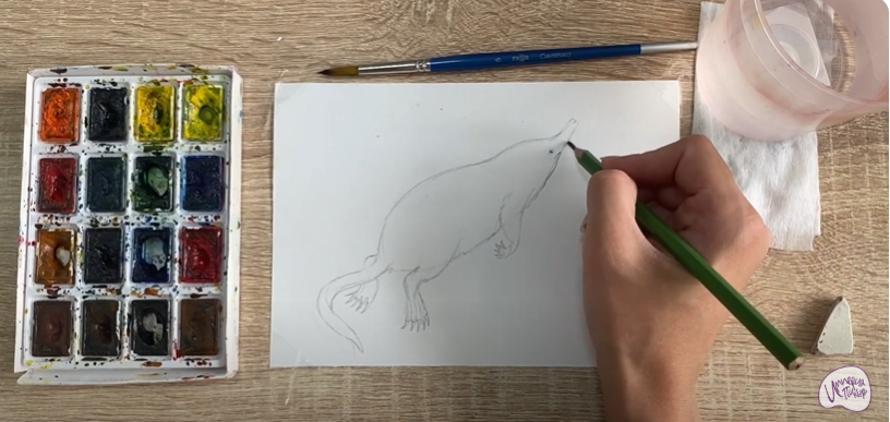 Рисуем Выхухоль