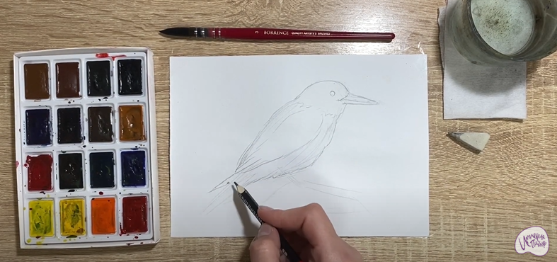 Рисуем Кедровка
